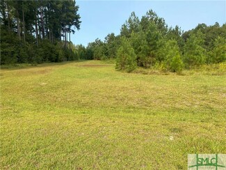 0 Hayes Lake Rd Unit 235612, Brooklet, GA 30415