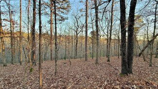 246 Red Fox Cove Trail, Flint Creek, OK 74347