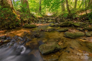 215 Martins Creek Rd, Barnardsville, NC 28709