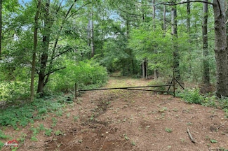 TBD County Road 4120, Jacksonville, TX 75766