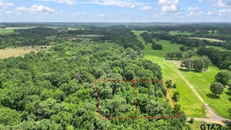 TBD Cr 237, Tyler, TX 75705