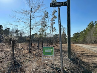50 Acres Bridlewood Rd, Cheraw, SC 29520