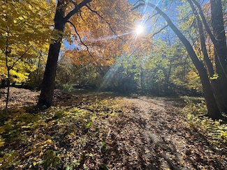 TBD Selnes Rd, Glenwood Township, MN 56334