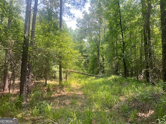 0 Branan Rd, Toomsboro, GA 31090