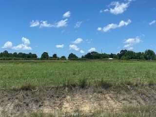 5460 Horseshoe Dr, Anderson, TX 77830