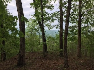 0 Jackson Point Rd Unit RTC3058148, Sewanee, TN 37375