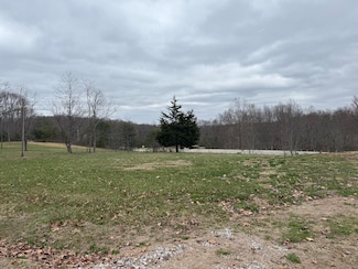 125 Ln, Wellington, KY 40387