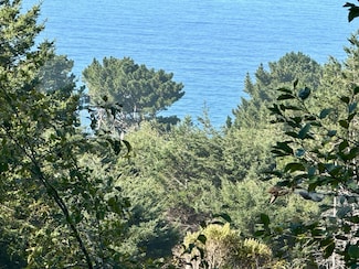 865 Upper Pacific Dr, Shelter Cove, CA 95589