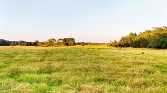 TBD Fm 279, Ben Wheeler, TX 75754