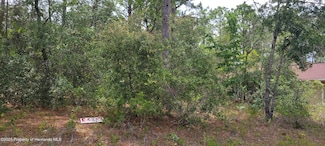 7062 N Tallwood Dr, Citrus Springs, FL 34434