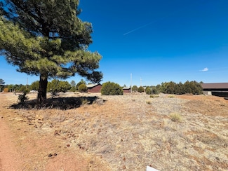 2212 Meadow Ln, Heber-Overgaard, AZ 85933