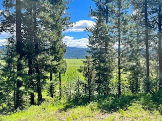 L3 B2 Rehn Loop Unit 3, Cascade, ID 83611
