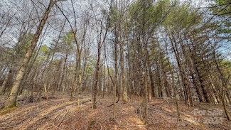 TBD Crestview Dr W, Creston, NC 28615