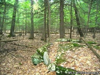 TBD Buck Rd, Accord, NY 12404