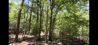 CAD ID #126833 A M Jones Rd, Lufkin, TX 75901