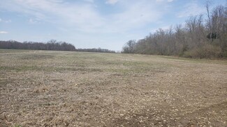 55 Acres E County Road 975 N, Jackson Township, IN 47879