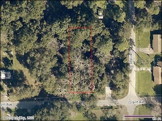 0 Grant Ave, Eustis, FL 32726