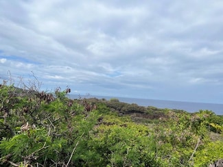 0 Road L Unit 720747, Captain Cook, HI 96704