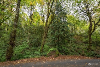 0 Niemi Rd Unit NWM2302232, Longview, WA 98632
