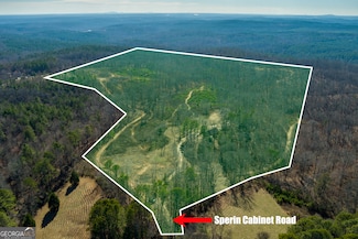 170 Sperin Cabinet Rd, Ball Ground, GA 30107