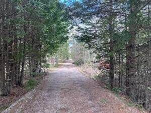 5 acres N Black River Rd, Cheboygan, MI 49721