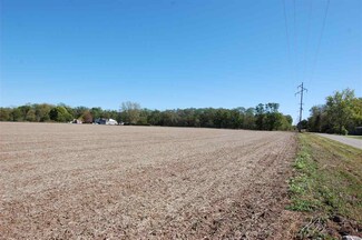 8.94 Ac Fulton St, Buena Vista, WI 53556