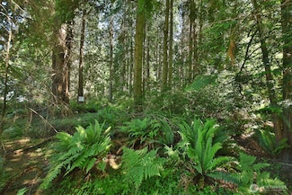 0 XXX E Harbor Rd, Freeland, WA 98249