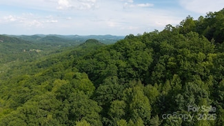 TBD Treadway Ridge Dr Unit Offering 3, Moravian Falls, NC 28654