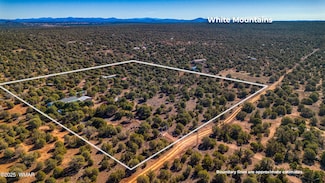 1855 Woodside Trail, Show Low, AZ 85901