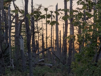 9.58 Acres on Peterson Hill Rd, Russell, WI 54814