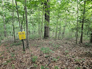 000 Spring Ridge Trail, Eminence, MO 65466