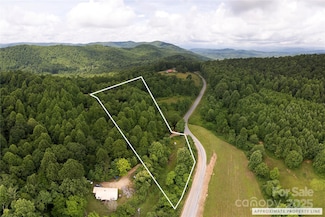 00 Pinnacle Mountain Rd, Zirconia, NC 28790