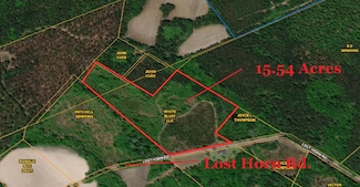 0 Lost Horn Rd, Branchville, SC 29432