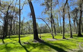 158 SW Bumble St, Fort White, FL 32038