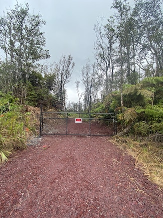 11-2889 Kaleponi Rd, Volcano, HI 96785