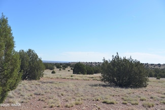 9234 N and 9218 Red River, Concho, AZ 85924
