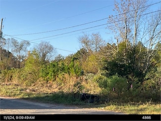 Lot 4 Mike St, Rochelle, GA 31079