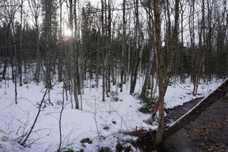 M13L18A-1 Redding Rd, Bryant Pond, ME 04219