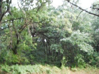 - State Highway 22, Neshkoro, WI 54960