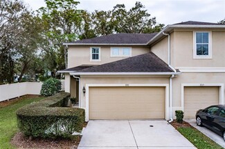 2101 Broadway View Ave, Brandon, FL 33510