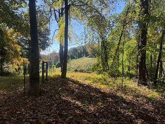 0 Virgil H Goode Hwy, Boones Mill, VA 24065