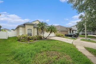 8217 Canterbury Lake Blvd, Tampa, FL 33619