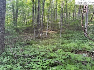 59 Beechwood Cir, Creston, NC 28615