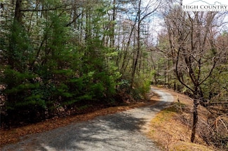 TBD Hollyknoll Rd, Glade Valley, NC 28627