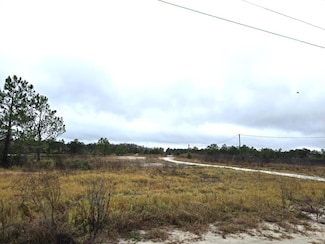 0 Old Clyattville Rd, Valdosta, GA 31601