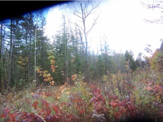 00 Langdell Rd, Hyde Park, VT 05655