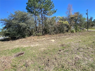 7209 N Galt Point, Citrus Springs, FL 34434