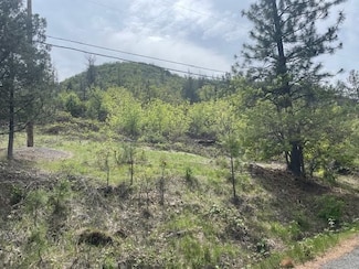 Por Par Of Bla Rec Ager- Biswick Rd, Montague, CA 96064