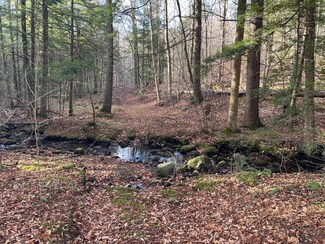 0 Gould Rd Unit 5023598, Chester, VT 05143