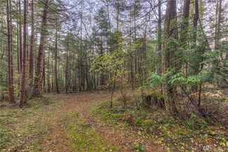 0 Eastsound Shores Lot4 & 5 Rd Unit 1077607, Orcas Island, WA 98245